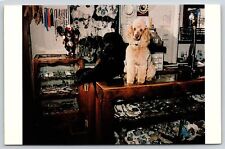 Albuquerque New Mexico~Turquoise Lady of Old Town Interior~Poodles~1960s PC picture