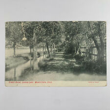 Postcard Colorado Monte Vista CO Lovers Lane 1907 Posted Divided Back picture