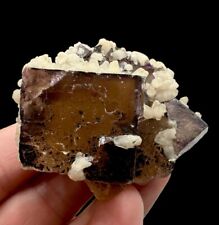 Fluorite & Calcite & Hydrocarbons : Minerva #1 Mine. Hardin Co., Illinois 🇺🇸 picture