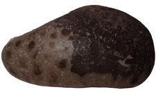 Michigan Petoskey Stone & Fossil Soup w Iron Huge Great Lakes Unpolished Rocks picture