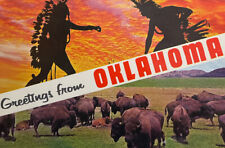 Greetings from Oklahoma Postcard Used 1960s Buffalo picture