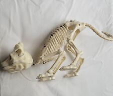 Halloween Decoration Faux Skeleton Animal Puppy Dog Pouncing Crouching Decor picture