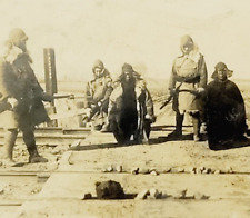 c1935 Original Japanese Army Photo Captured Bandits Anshan Manchuria China picture