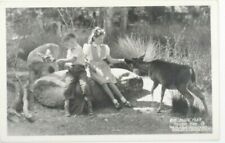 Big Basin Park Kids Feed Deer Santa Cruz Mt Boulder Creek CA RPCC Postcard (A24) picture