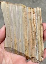 112g Owyhee Picture Jasper Slab Rough Cabbing Lapidary Old Stock picture