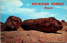 Vtg Arizona AZ Agatized Logs Petrified Forest National Park Postcard picture