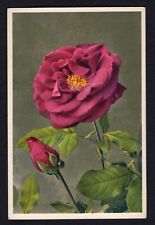 Vintage Alfred Mainzer Floral Flowers Postcards Unused Rose Divided Back 1160 picture