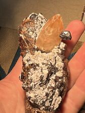 Superb Calcite with Barite on Sphalerite, Elmwood Mine, Carthage, TN picture