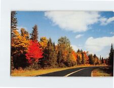 Postcard A Curve In The Road Vacationland Scene USA picture