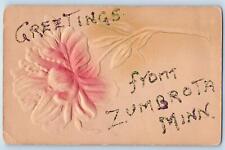 Zumbrota Minnesota Postcard Greetings Embossed Airbrushed Flowers Leaves c1910's picture