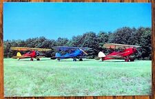 BLAKESBURG, IOWA: 1982 AAA-APM Fly-In, 3 Perth Amboy Bird CK's on Grass picture