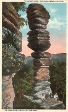 Vintage Postcard Chimney Rock 76 Ft High Kentucky River KY Bagby Howe Drug Co. picture