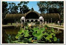 Postcard - Blooming lilies of the Botanical Gardens, Balboa Park - San Diego, CA picture