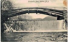Walton NY Howland's Dam 1910  picture