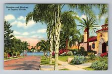 Tropical FL-Florida Sunshine and Shadows Stately Home Gardens Vintage Postcard picture