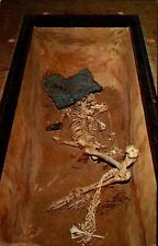 Cartersville GA Etowah Mounds Archaeological area macabre skeleton unused PC picture