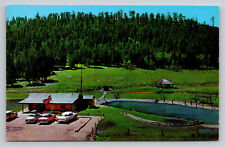 Deadwood South Dakota Trout Haven Fishing Resort Hill City SD Postcard picture