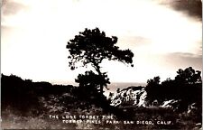 Torrey Pines Park San Diego, California Real Photo RPPC Postcard picture