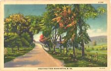 Beautiful Trees Along The Picturesque Road, Mannington, West Virginia Postcard picture