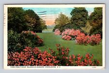 Charleston SC-South Carolina, Magnolia Gardens, Antique Vintage c1927 Postcard picture