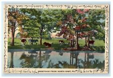 c1940's Greetings From North East Pennsylvania PA Vintage Postcard picture