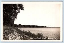 Villard Minnesota MN Postcard RPPC Photo East Shore Lake Amelia c1920's Vintage picture
