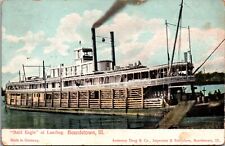 Postcard Bald Eagle Steamer at Landing in Beardstown, Illinois picture