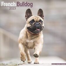 FRENCH BULLDOG - 2023 WALL CALENDAR - BRAND NEW - 17092 picture