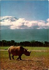 VINTAGE CONTINENTAL SIZE POSTCARD RHINOCEROS IN THE FOOTHILLS MAILED ZAIRE 1980 picture