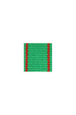 WWII German Ostvolk Medal 2nd class in gold ribbon bar's ribbon picture