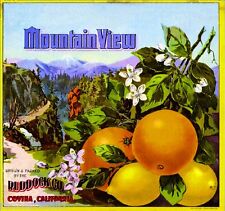 Covina Los Angeles County Mountain View Orange Citrus Fruit Crate Label Print picture