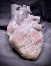 Unique Jasper Anatomical Heart picture