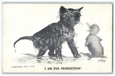 c1910's Black Cat And Duckling I Am For Prohibition Temperance Colby Postcard picture