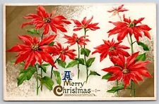 Winsch~A Merry Christmas~Poinsettia Flowers~PM 1911~Embossed~Vintage Postcard picture