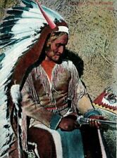 c. 1910 Apache Chief Geronimo The Warrior w/ Gun Pistol Postcard Hand Colored  picture
