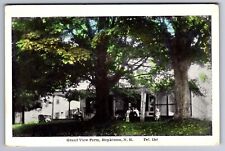 C.1910 HOPKINTON, NH NEW HAMPSHIRE, GRAND VIEW FARM HAND COLORED Postcard P49 picture