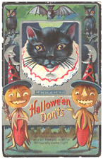 VINTAGE HALLOWEEN POSTCARD - HALLOWEEN DONT'S --  LARGE CAT picture