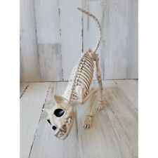 Crazy bonez Seasons cat skeleton Halloween props scary picture