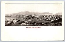 Livingston Montana~Main Street Birdseye View Overlooking City~c1905 B&W PC picture