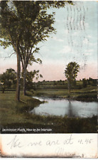 View on the Intervale in Leominster MA-1906 posted German glitter postcard picture