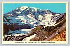 Mt. Rainier National Park Where Flowers & Glaciers Meet VINTAGE Postcard picture