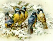 1896 Fleischmann & Co.'s Yeast Banner Picture Beautiful Wild Birds Snow #S picture