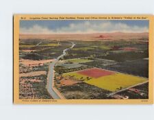 Postcard Irrigation Canal Serving Date Gardens, Farms and Citrus Groves, Arizona picture