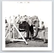 c1950s Photo~Circus Elephant~Big Blanche~Trainer~Family & Kids~VTG Snapshot picture