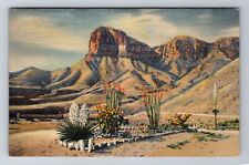 Signal Peak TX-Texas, Guadalupe Mountains, Signal Peak Antique Vintage Postcard picture