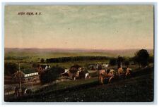 1913 Aerial View High View Town Cow Grass Tree New York Vintage Antique Postcard picture