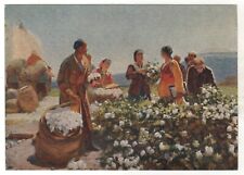 1961 COTTON GROWERS Uzbekistan Azerbaijan Harvest Ethnic OLD Russian postcard picture