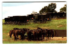 Postcard OH Amish Country Sunday Morning Horses Buggies picture