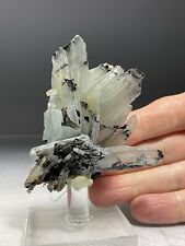 SS Rocks - Blue Barite Crystals (Nador Province, Morocco) 80g picture