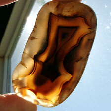 Montana Agate Geode Half Polished Natural Rock Slice Banded Gray Crystal 3